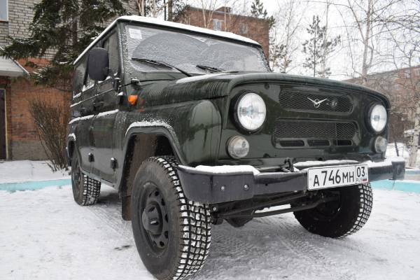 В Бурятии перед Новым годом усилили охрану хвойных деревьев