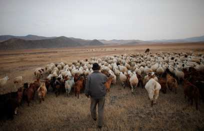 ������� �������������� � ��������� ���� �� ��������