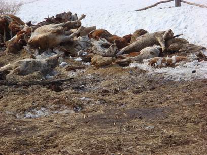 ����� ��������������� ������ ������� ��������� ����������� � ������� ���������� ����� ���