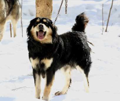 � ������� ����������� ����� ������ ������ �����-������������ ���������