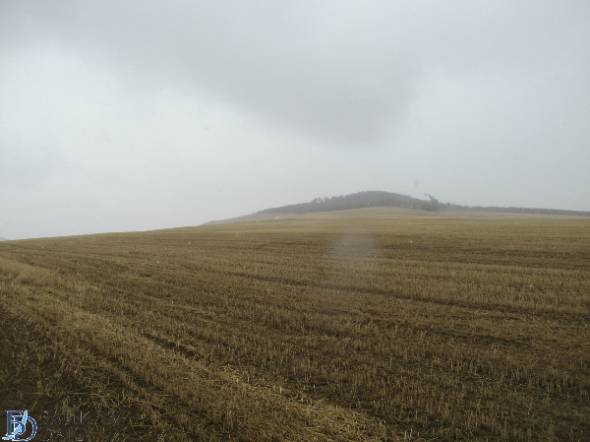 Глава Бурятии потребовал, чтобы сельхозземли больше не простаивали