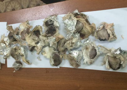 ��������� ����� ������� ������� ����� ���������� ����� ������� 