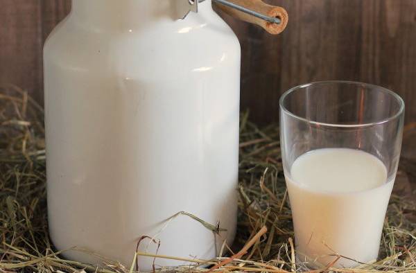 В Бурятии на празднике молока представят саламат, пенки и тарасун 