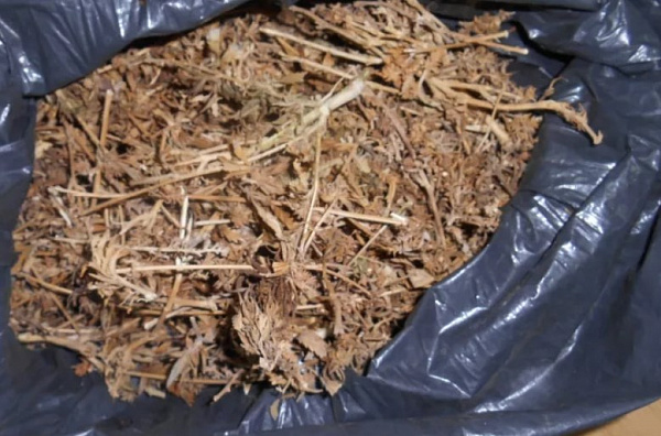 У жителя Бурятии изъяли 2 кг марихуаны 