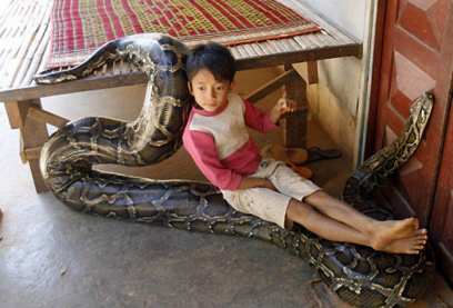 � ����-��� ����������� ���� �� ���������� � �������