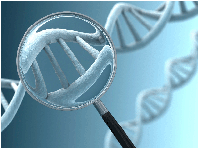 ������������� ������� ��������� ������������ ����������� �����