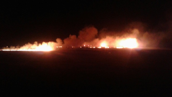 Жители Бурятии тушили крупный пожар