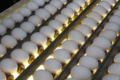 �������� ����� ������� �������� ������ �� ����������� ��� ����������������� ��������� �������� �����