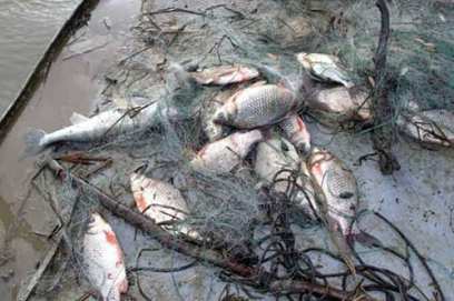 � ������� � ����������� ���������� �����