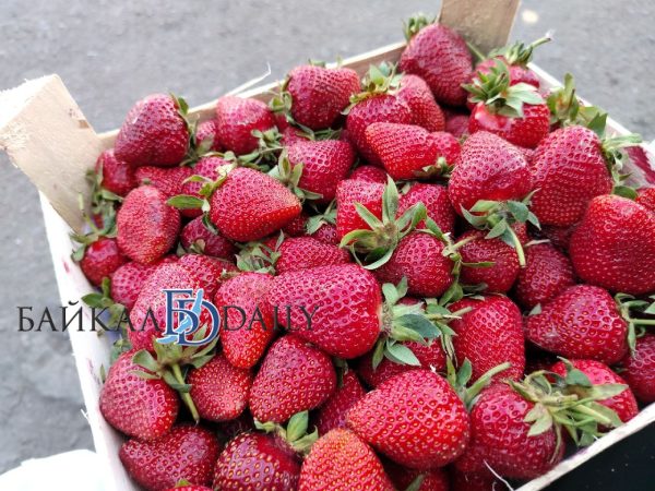 ����-������ ������������ � ��������� 