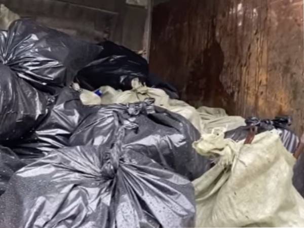 В Бурятии волонтёры при уборке мусора нашли новогоднюю ёлку и носилки 