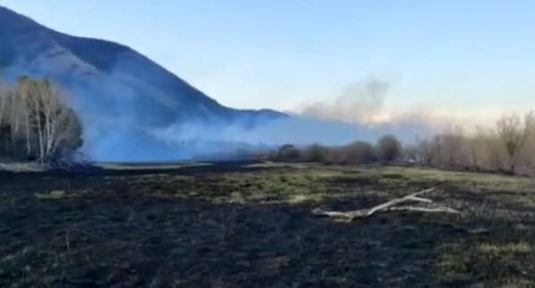 В Бурятии из-за сжигания прошлогодней травы возник лесной пожар