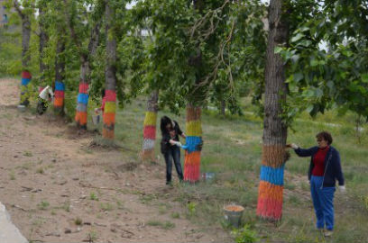 � ����-�������� ������ ��������� ������� � ����� ������ 