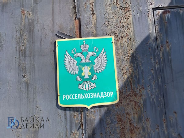 � ������� ������ ����� � �������� ��������� ��������� ��������