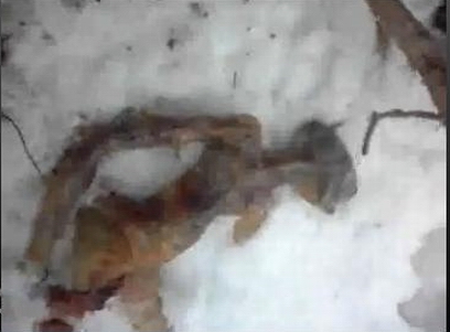 ����� � ���������� �� ������� ������� 630 ����� ���������� �� YouTube