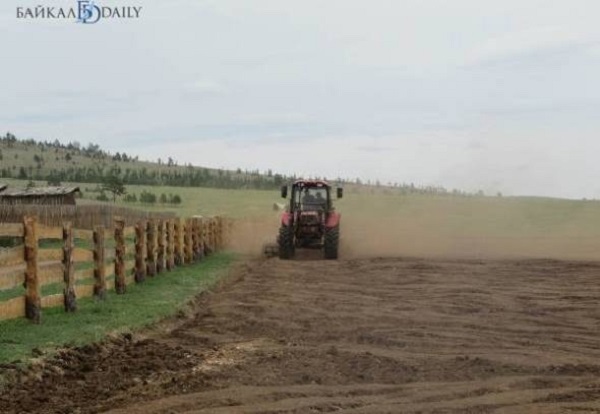 Известный аграрий рассказал о «скитающихся по Кореям и Израилям» жителях Бурятии