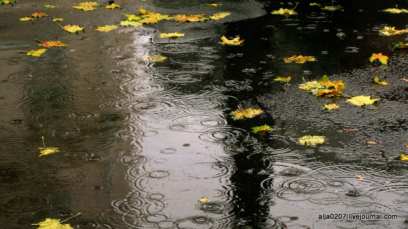 � ������� ������ �����