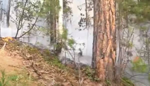 В Бурятии из-за неосторожного обращения с огнём возник лесной пожар 