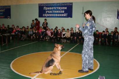 ��� ���������� ����-��� �������� ������������� � ������� �����