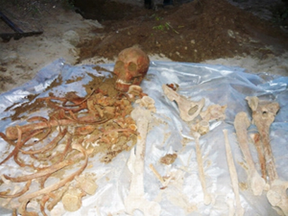 � ���������� ������ ������� ������������ ���������� ������� �������� �������� 