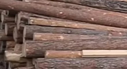 В Иркутске расследуют дело о контрабанде леса 