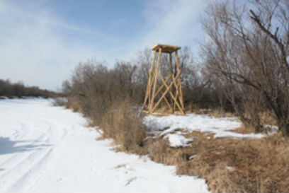 � ���������� ������� �������� ������ �����-���������