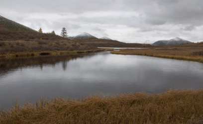 ��������� �������� � �������� ������ ������ �� ������� ���� ������� ��������