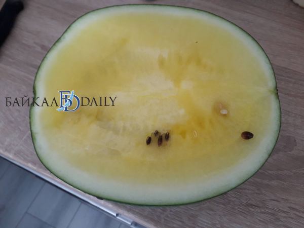 � ������� ��������� ����������� ����� � ����� ������ 