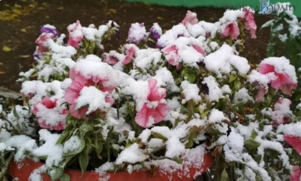 Жителям Бурятии спрогнозировали мокрый снег на выходных 