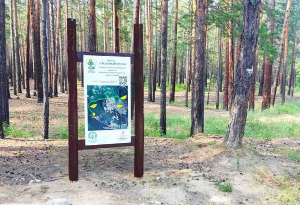 В окрестностях Улан-Удэ создаётся «необычный» лес