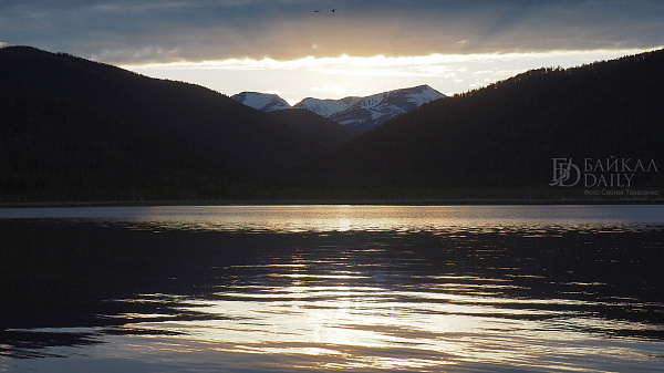 В сетях на дне Байкала погибают тысячи рачков 