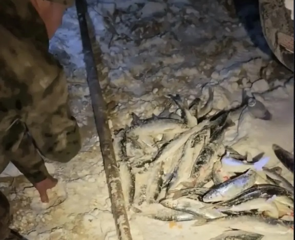 ���� ������� �� ������ ������� ��������� �������� 86 ����� 