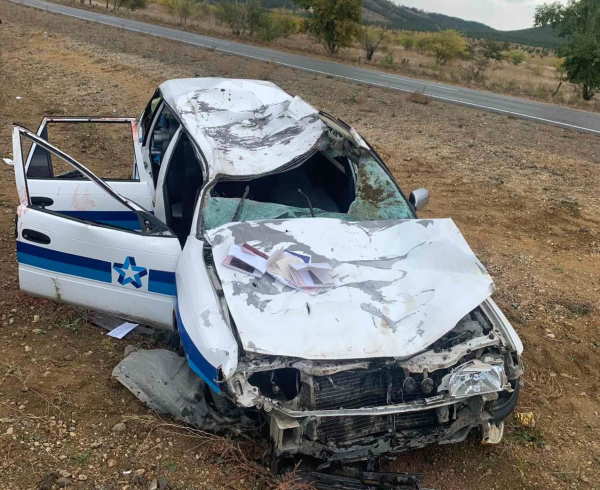 На дороге в Бурятии водитель «Тойоты» сбил корову