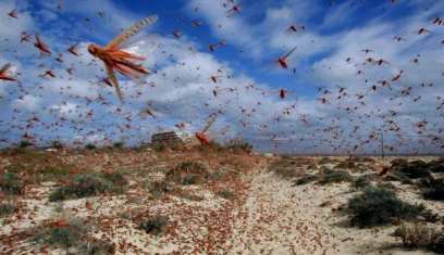 ������������ ������ ������� ������� ���������� � ��������