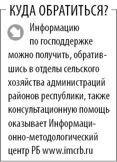 ���� ����������.jpg