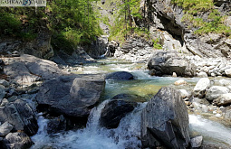 12 ������ � ���������� ������ ������� ������ ����� ��� �� 4 ��� 