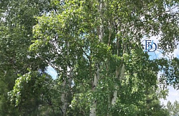 ���������� �� ������� ���� ������ ����� �� ���� ����