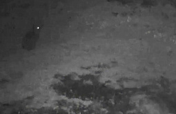 � ������� ����������� ������� ������ �������� �����-������