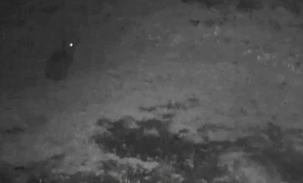 � ������� ����������� ������� ������ �������� �����-������