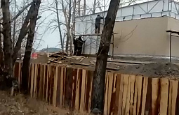 � ����-��� ��������� ����������� ������� ��� �� ����� ������