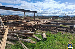 В Бурятии передано в суд дело о незаконной рубке на 1,7 млн рублей