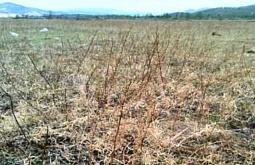 ��������������� ������ ��������� ������������� � ������� 