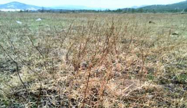 ��������������� ������ ��������� ������������� � ������� 