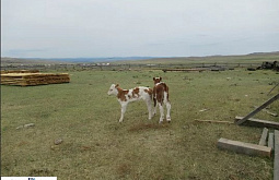 � ������� ������ ����������� �������������������� �������������