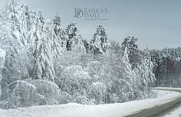 ���������� ������ � ������� ������ �� �����