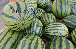 � ������� ��������� ������� ������ ������� ������� � ����