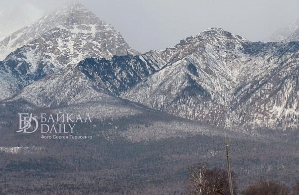 � ������� � �������� �������� ������ �������� �� ��������� �����