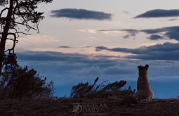 ����� 150 ���������, �������� � ������ ��������� � �������