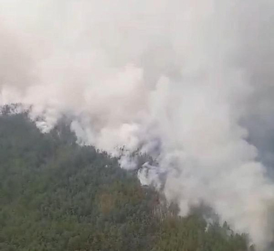 ������� ������ ������� � ������� ������� �� 25 ����� ��������