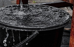 � ����-��� ����������� ��������� 600 ����� �� ����� � ��������� 